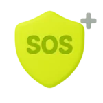 Consular assistance in emergencies